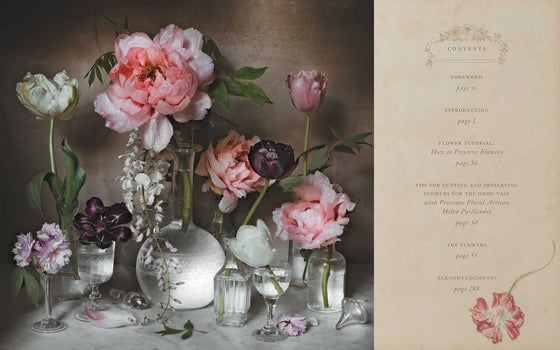 Flowers of Provence by Jamie Beck