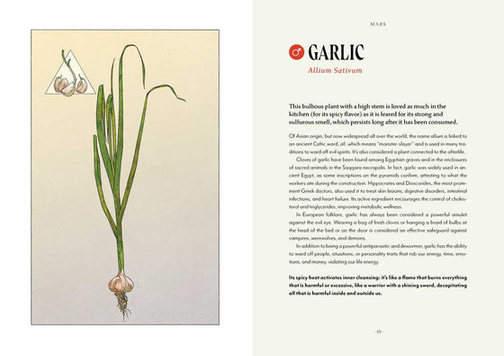 Plant Magic by Anastasia Mostacci