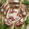 Marguerite Daisy Flower Hair Clip