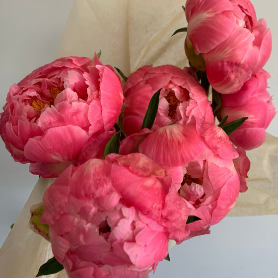 5.21.25 Wildly Peony Workshop x Aimee Mower-Lally