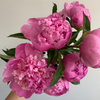 5.21.25 Wildly Peony Workshop x Aimee Mower-Lally