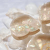 Siren Sea Shell Mini Hair Clip