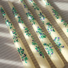 Hand Painted Candles