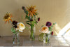 Thanksgiving Flowers: Bud Vase Collections