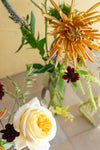 Thanksgiving Flowers: Bud Vase Collections