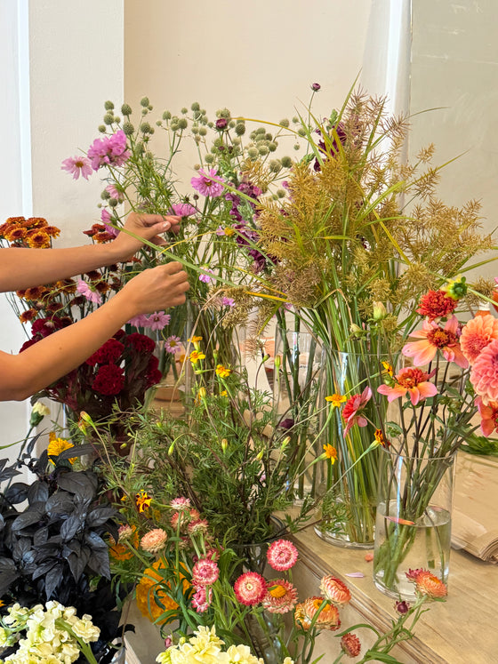 11.20.25 Lunch Break by Wildly x Porta Rossa