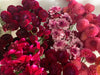 9.18.25 Autumn Equinox Flower Workshop featuring Dahlias