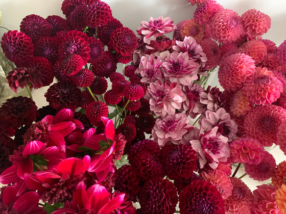 9.18.25 Autumn Equinox Flower Workshop featuring Dahlias