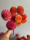 9.18.25 Autumn Equinox Flower Workshop featuring Dahlias
