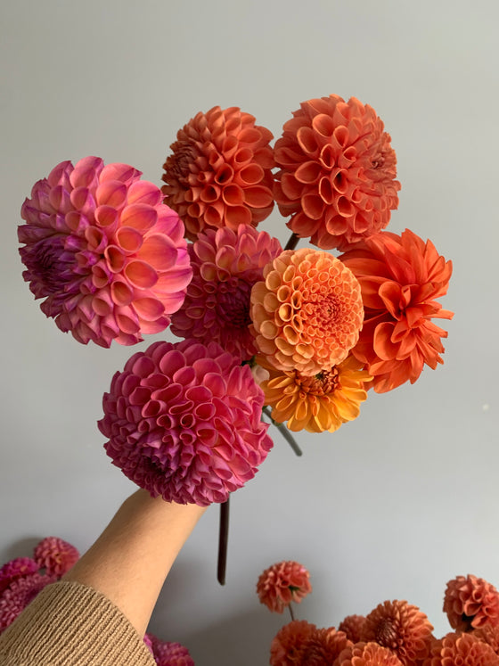 9.18.25 Autumn Equinox Flower Workshop featuring Dahlias