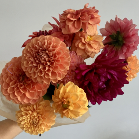 9.18.25 Autumn Equinox Flower Workshop featuring Dahlias