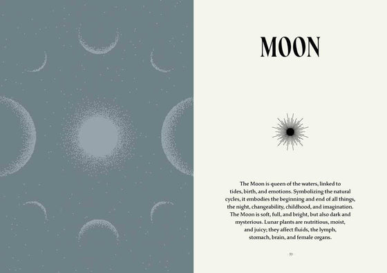 Plant Magic by Anastasia Mostacci