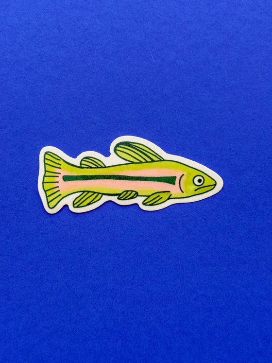 Rainbow Trout Sticker