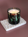 Fraser Fir Luxe Edition Candle by Botanica