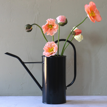  Black Watering Can