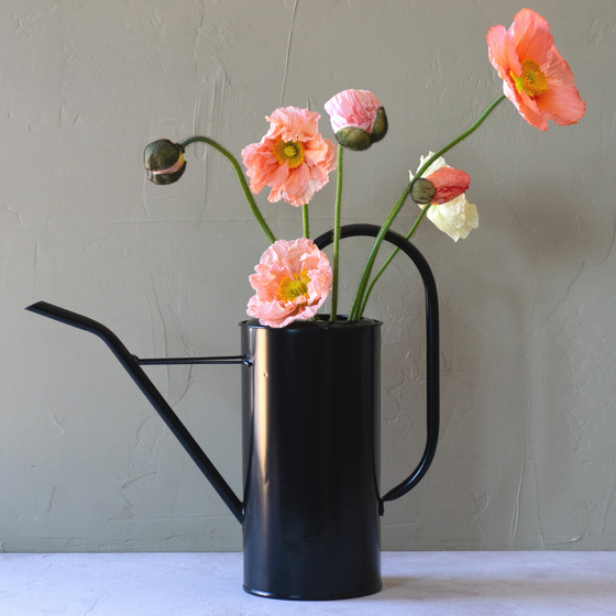 Black Watering Can