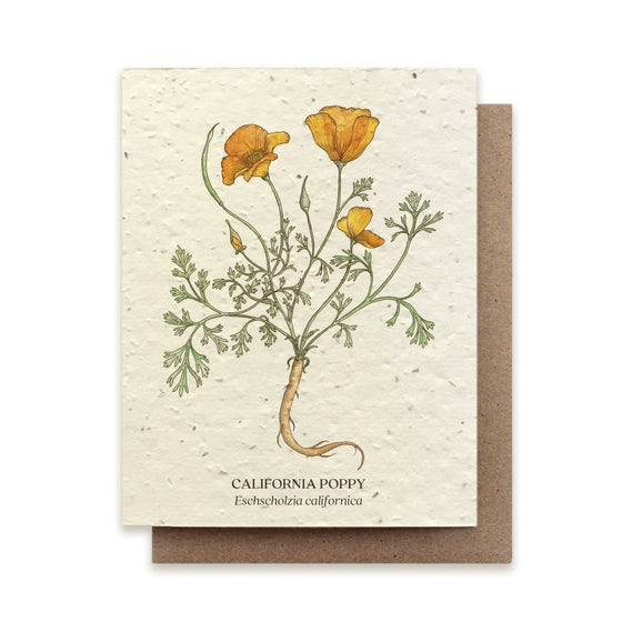 Plantable Wildflower Card