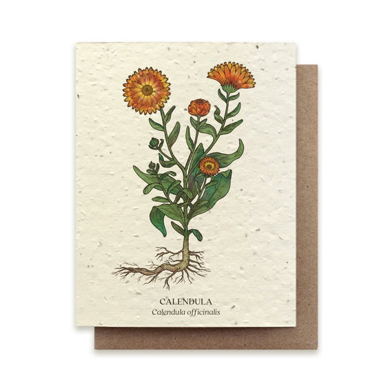 Plantable Wildflower Card