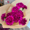 Carns are Cool! The Carnation Only Bouquet