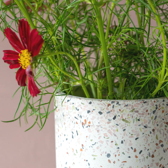 Terrazzo Tall