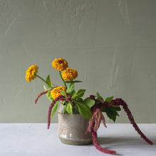  Paola Pot