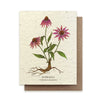 Plantable Wildflower Card