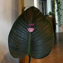  Eufolia Plant Magnets: Lips