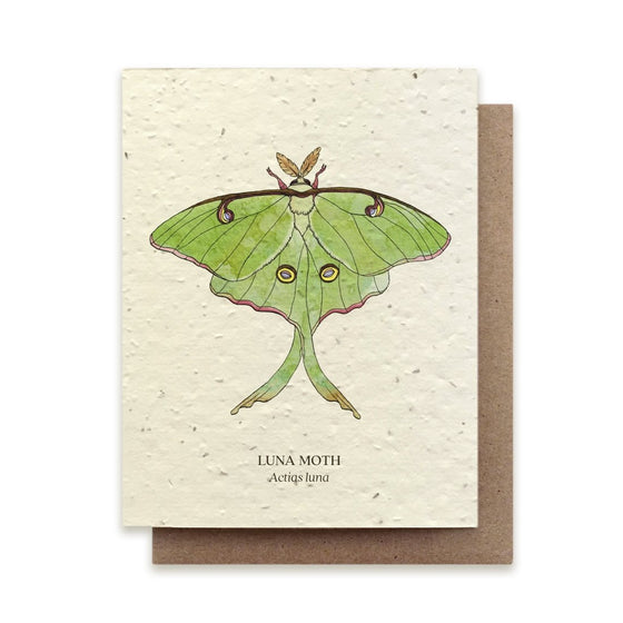 Plantable Wildflower Card
