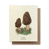 Plantable Wildflower Card