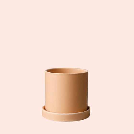 Ceramic Cylinder Planter