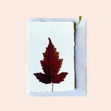  Maple Handmade Greeting Card by Bat Flower Press